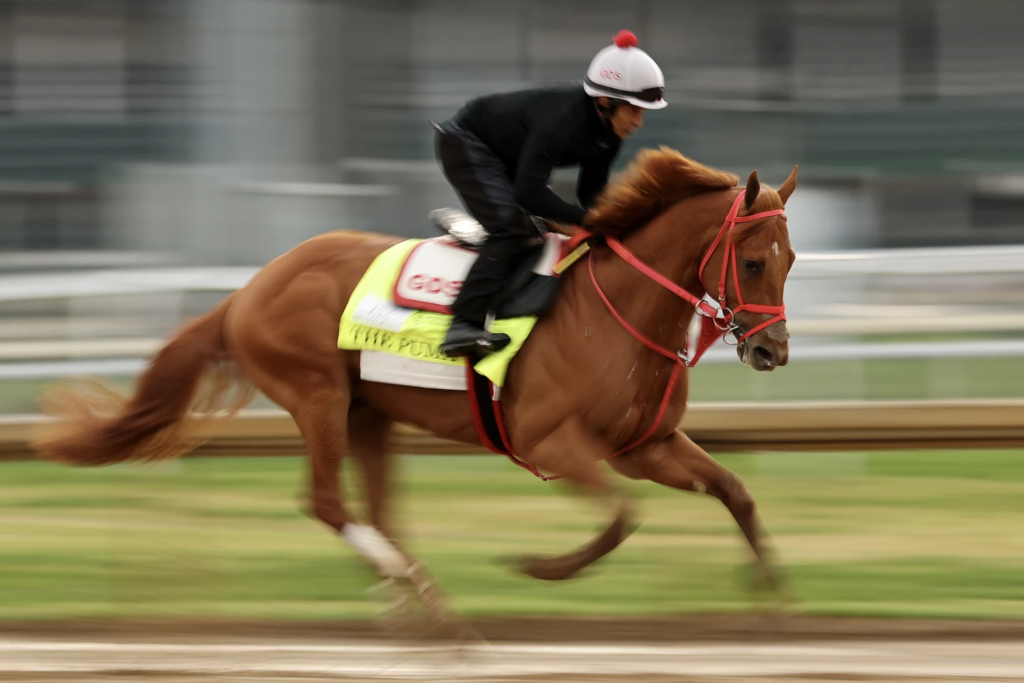 kentucky derby 2026