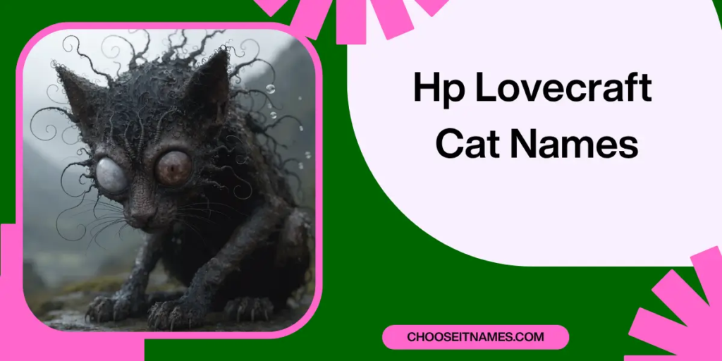 hp lovecraft cat